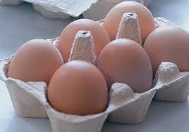 High Grade Fresh table Chicken Table Eggs available
